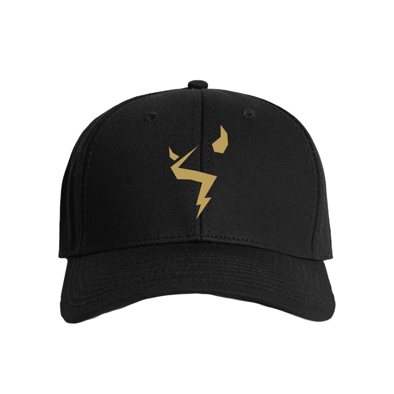 Real Talk Hat with embroidered Black or Gold Logo
